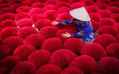 Incense sticks drying outdoor with Vietnamese woman wearing conical hat in north of Vietnam