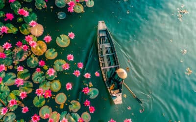 Vietnamese boat navigating a river filled with lotus flowers